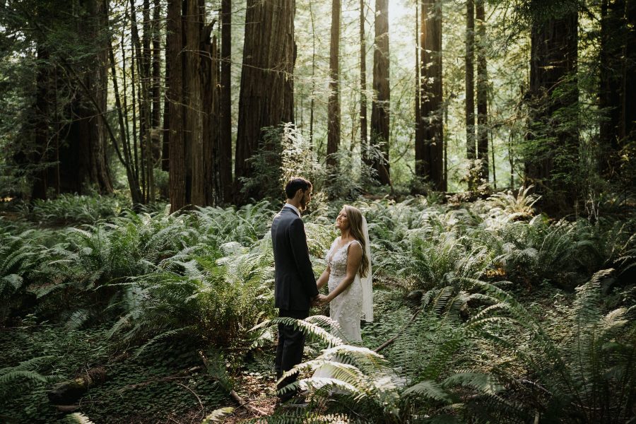 Redwoods National Park Elopement