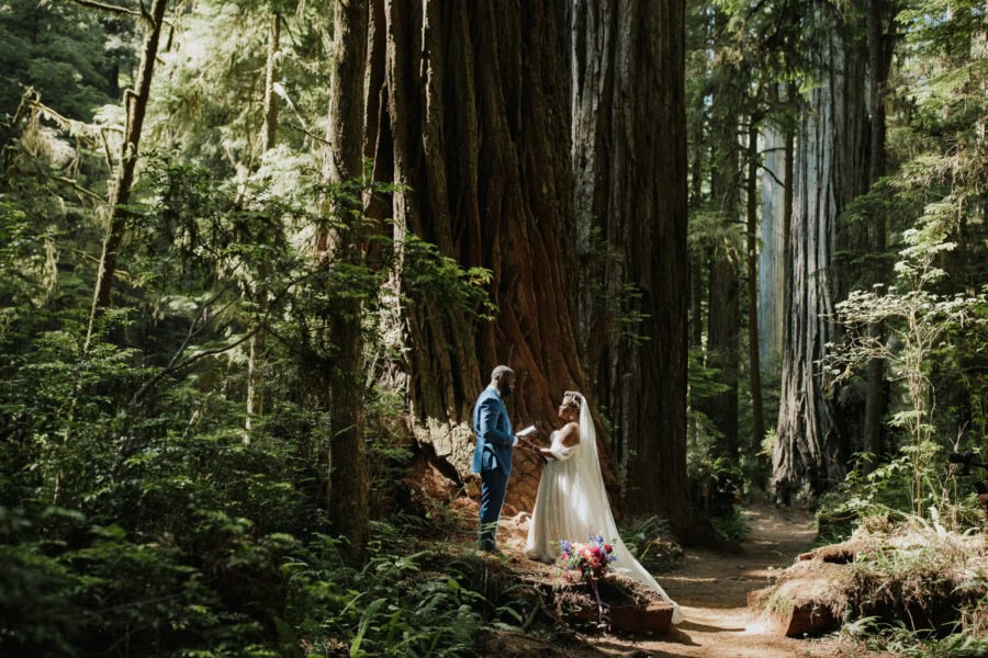 Julia Mina Photography California Elopement Photographer Redwoods Elopement
