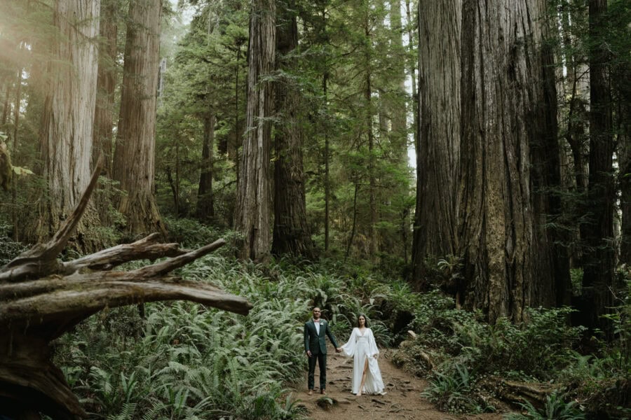 Julia Mina Photography California Elopement Photographer Redwoods National park Elopement