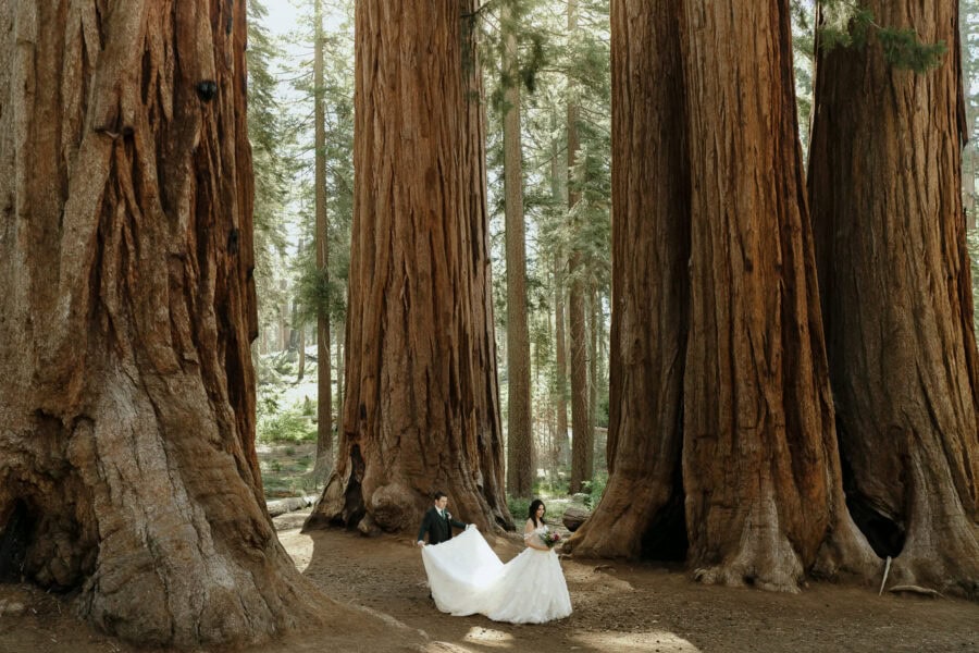 Julia Mina Photography California Elopement Photographer Sequoia Elopement Sunrise