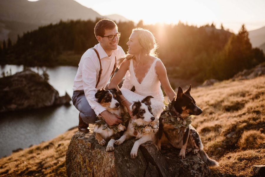 A bride and groom sit on a hill with the sun setting behind them. They are joined by their dogs as they celebrate their elopement.