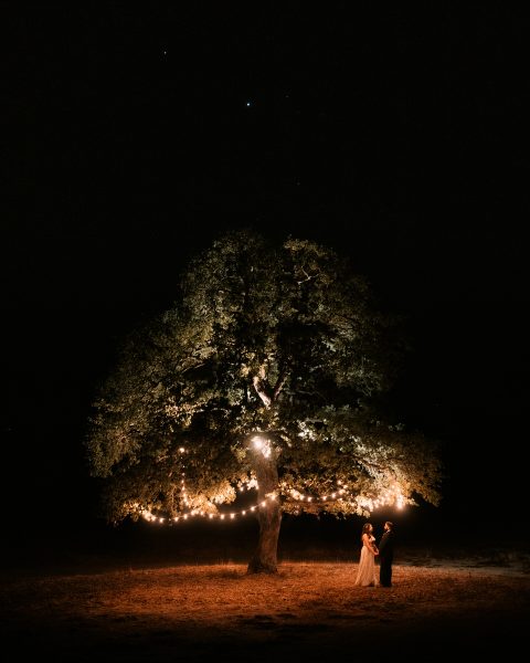 Northern California Elopement under market lights