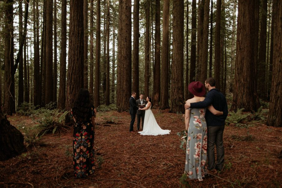 Northern California Elopement in the redwoods