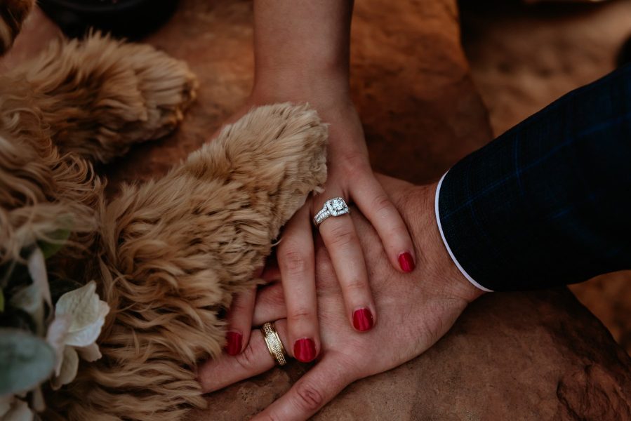 bride, groom, and their dog's hands showing their rings and love for each other