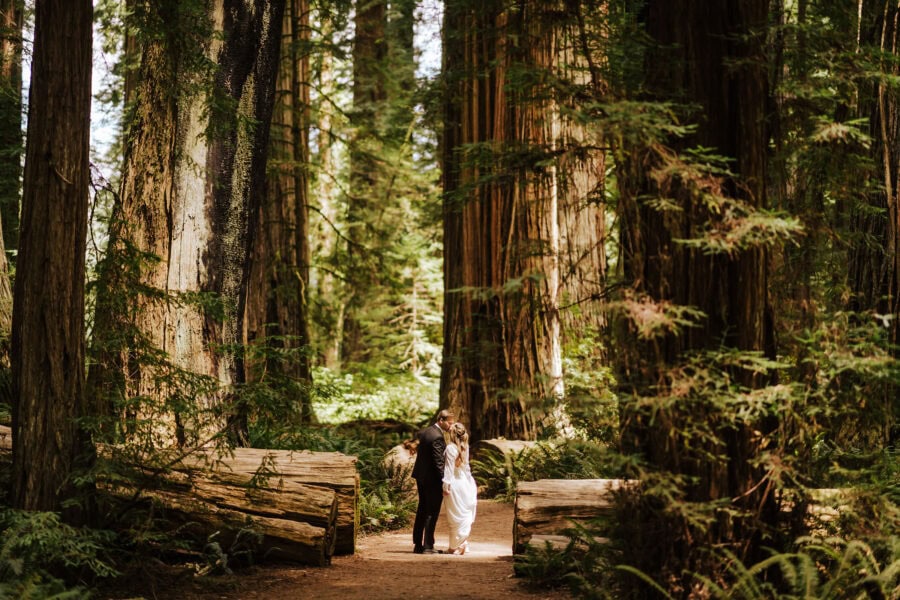 Redwoods Elopement in Jedidiah Smith