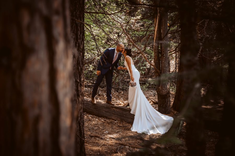 A wedding couple standing on a log and kissing in the woods of Lake Tahoe for their elopement day