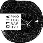 VILD Photography