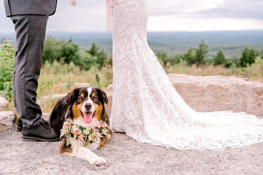 Jenna Richmond Photography | Maine Elopement Photography