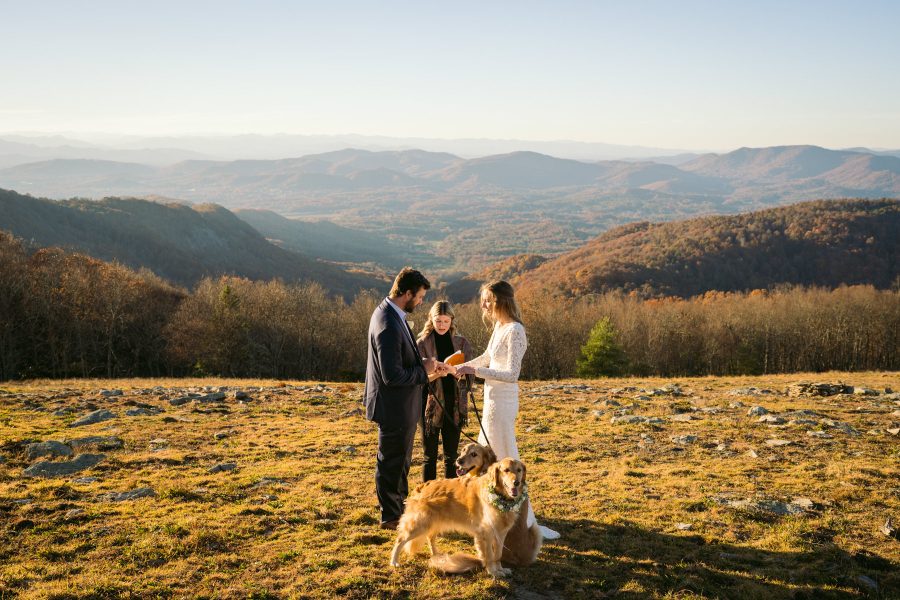 Private Elopement in Asheville with dogs