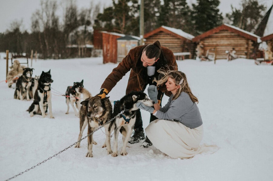 Bride and groom cuddling with husky dogs on the day of their winter elopement in Alta Norway