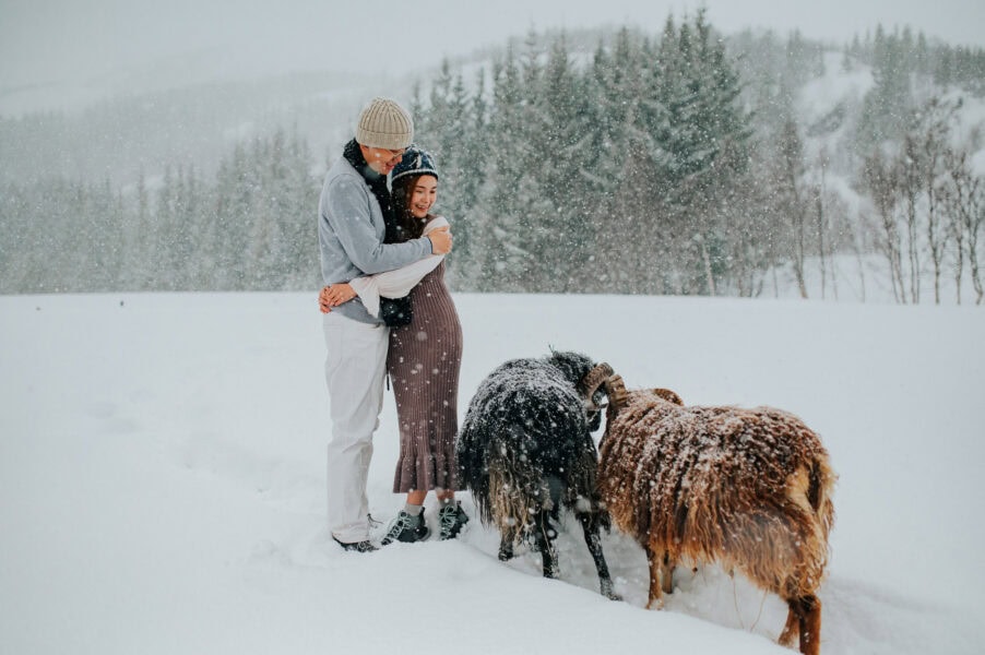 A cute couple under a thick snowfall in Tromsø surrounded by sheeps