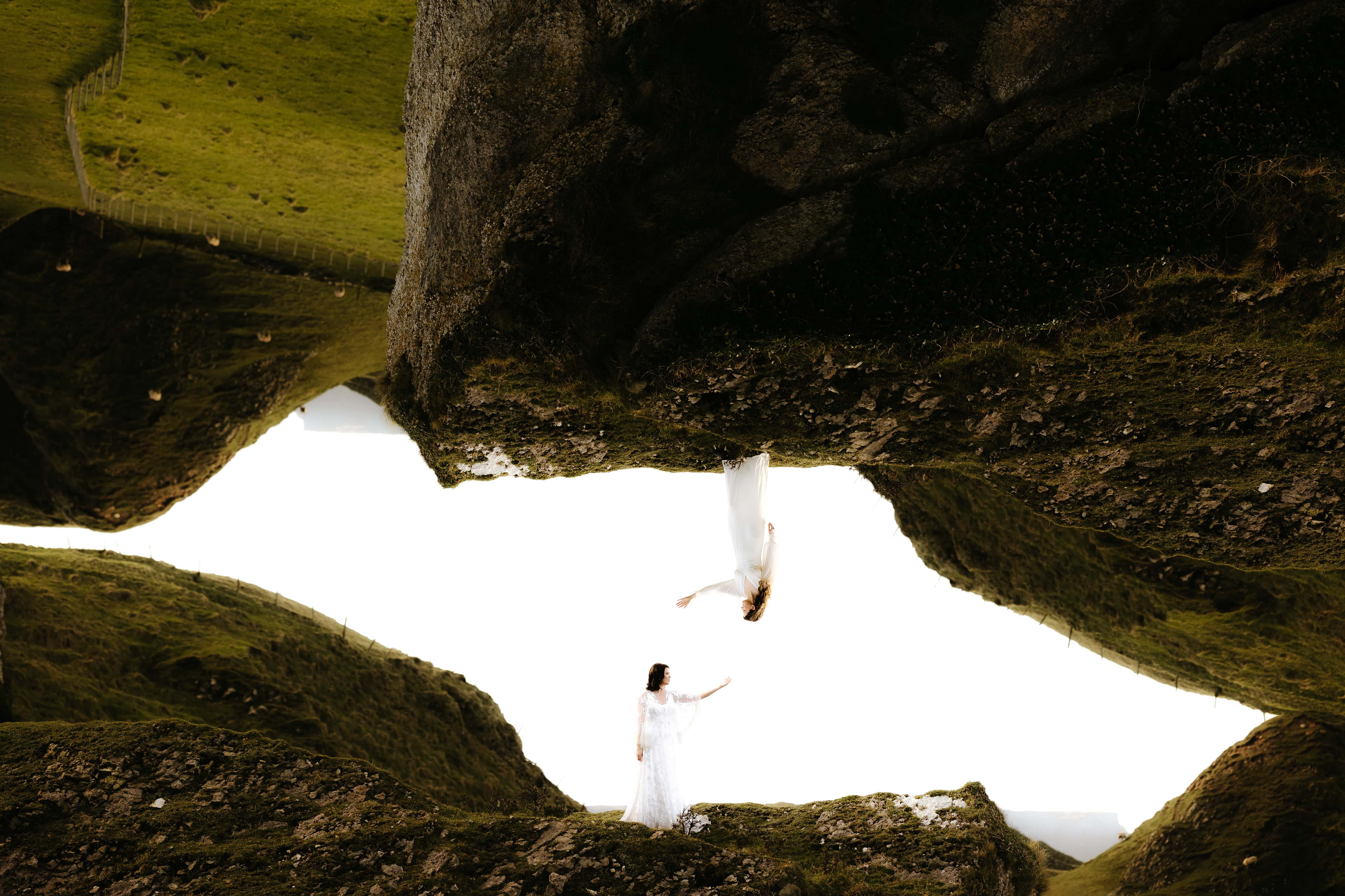 Wildly Connected Photography