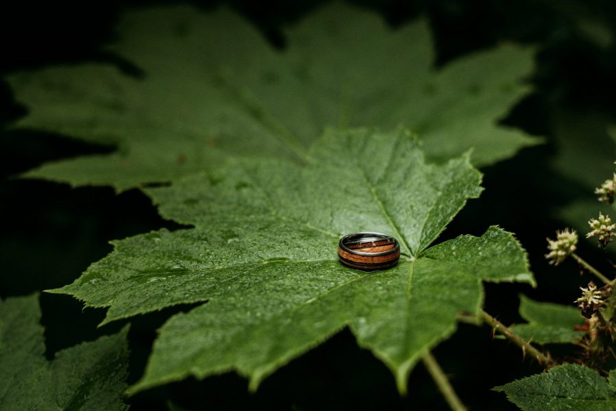 whisky barrel wedding rings on devils club