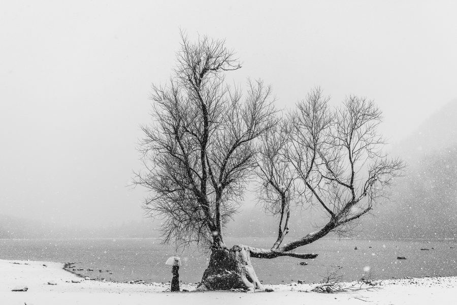 Bride standing under a tree at Rattlesnake Lake with snow