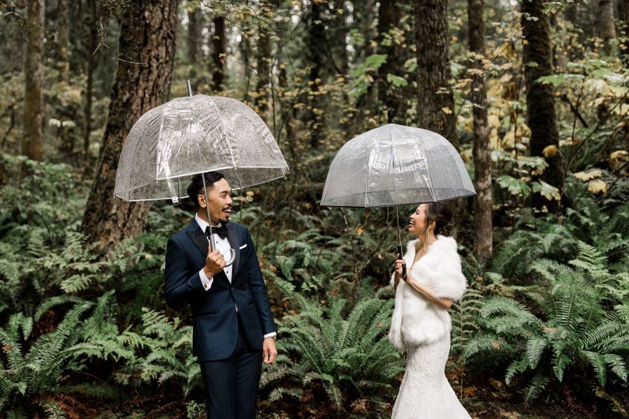 A first look in a lush green forest under umbrellas