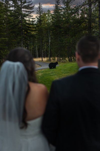 Couple in front of a bear on their wedding day