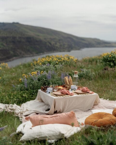 elopement picnic inspiration