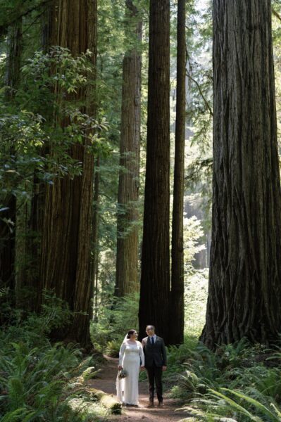 redwood forest elopement