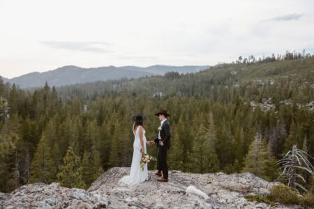 Wildly Hitched