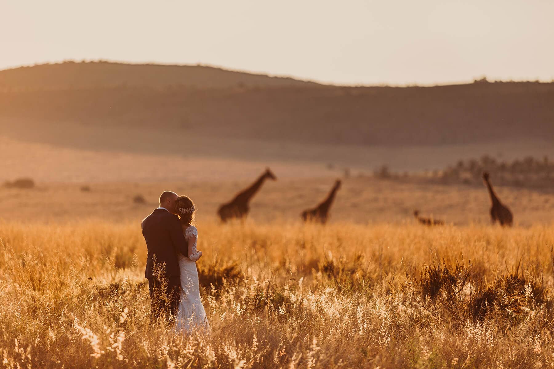 LOTTY H. Elopements