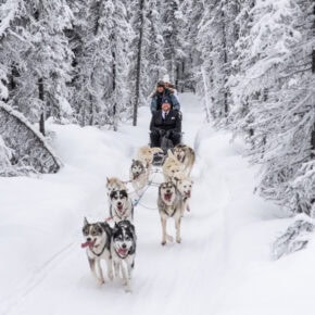 Alaska Winter Dog Sled Elopement
