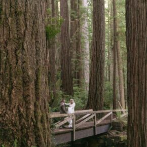 Vows Beneath the Giants – A Redwoods Forest Elopement