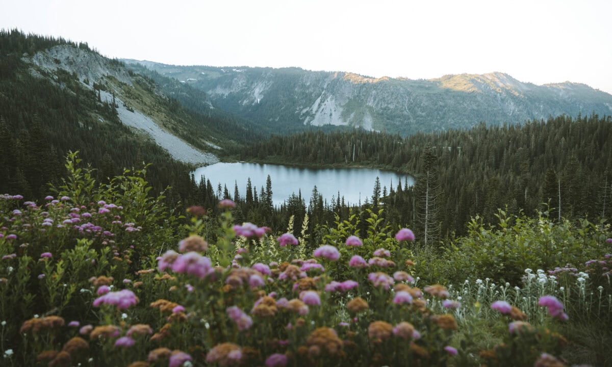 Mt. Rainier