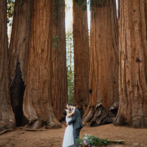 Vows Among Giants – A Sequoia National Park Elopement