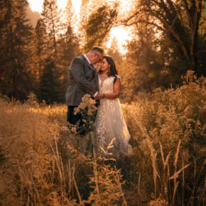 Heart of the Valley–Full Day in Yosemite