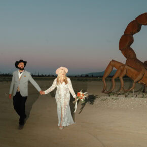 Dancing with Giants — An Unconventional Elopement in Anza-Borrego Desert